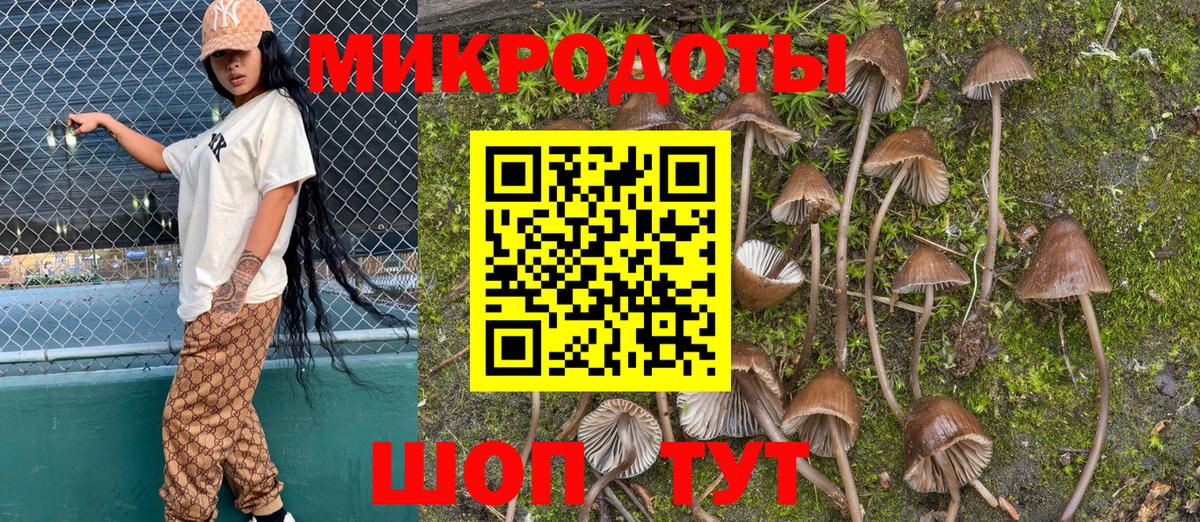 Псилоцибиновые грибы Magic Shrooms Крымск