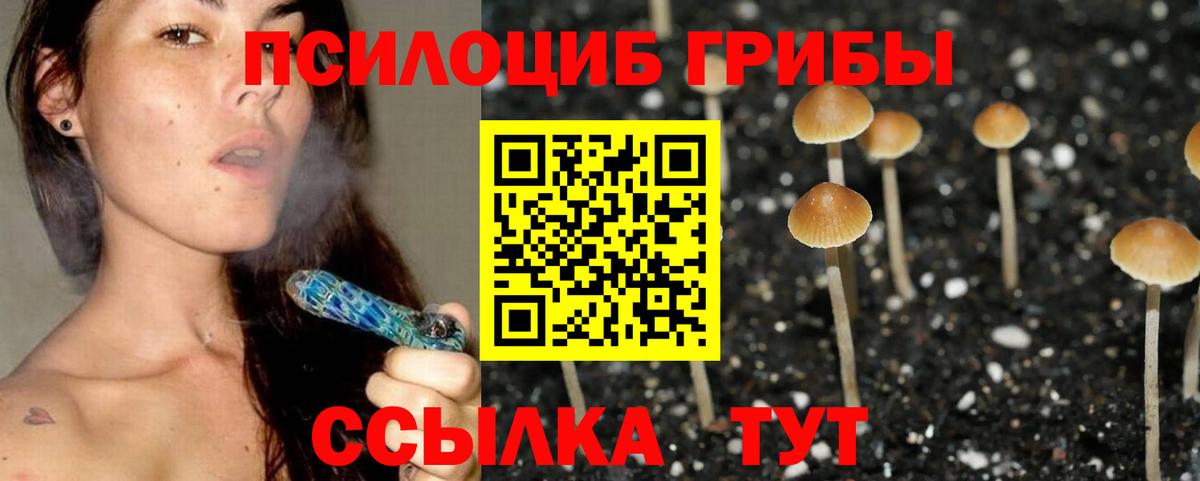 дарнет шоп  Псилоцибиновые грибы мицелий  Вход с VPN  Крымск 